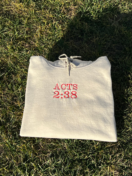 BEIGE ACTS 2:38 HOODIE